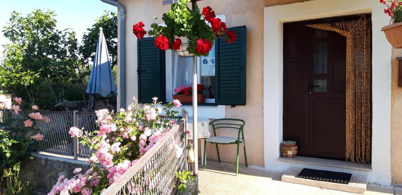 Holiday Home Goga Drniš Εξωτερικό φωτογραφία
