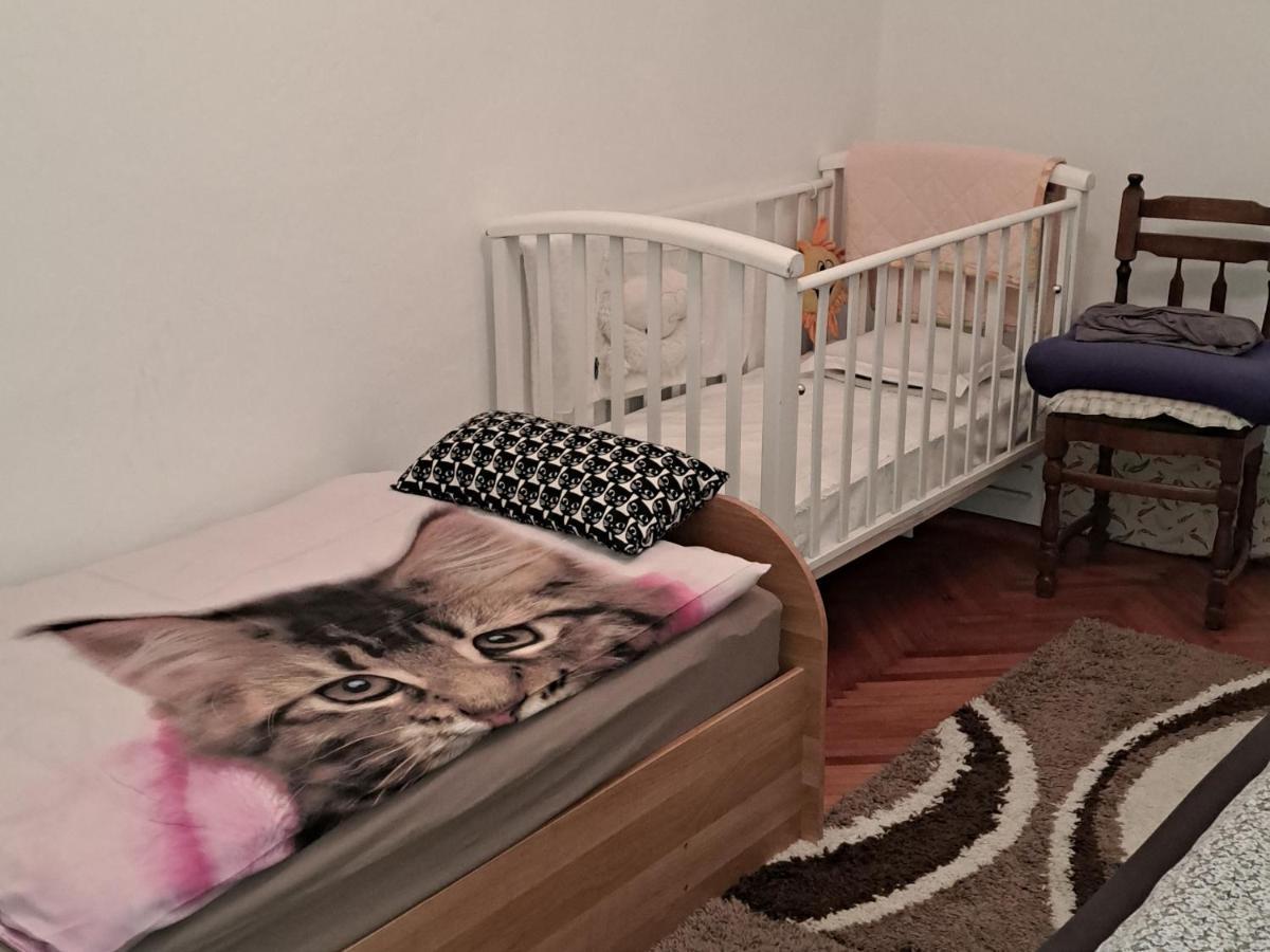 Holiday Home Goga Drniš Εξωτερικό φωτογραφία