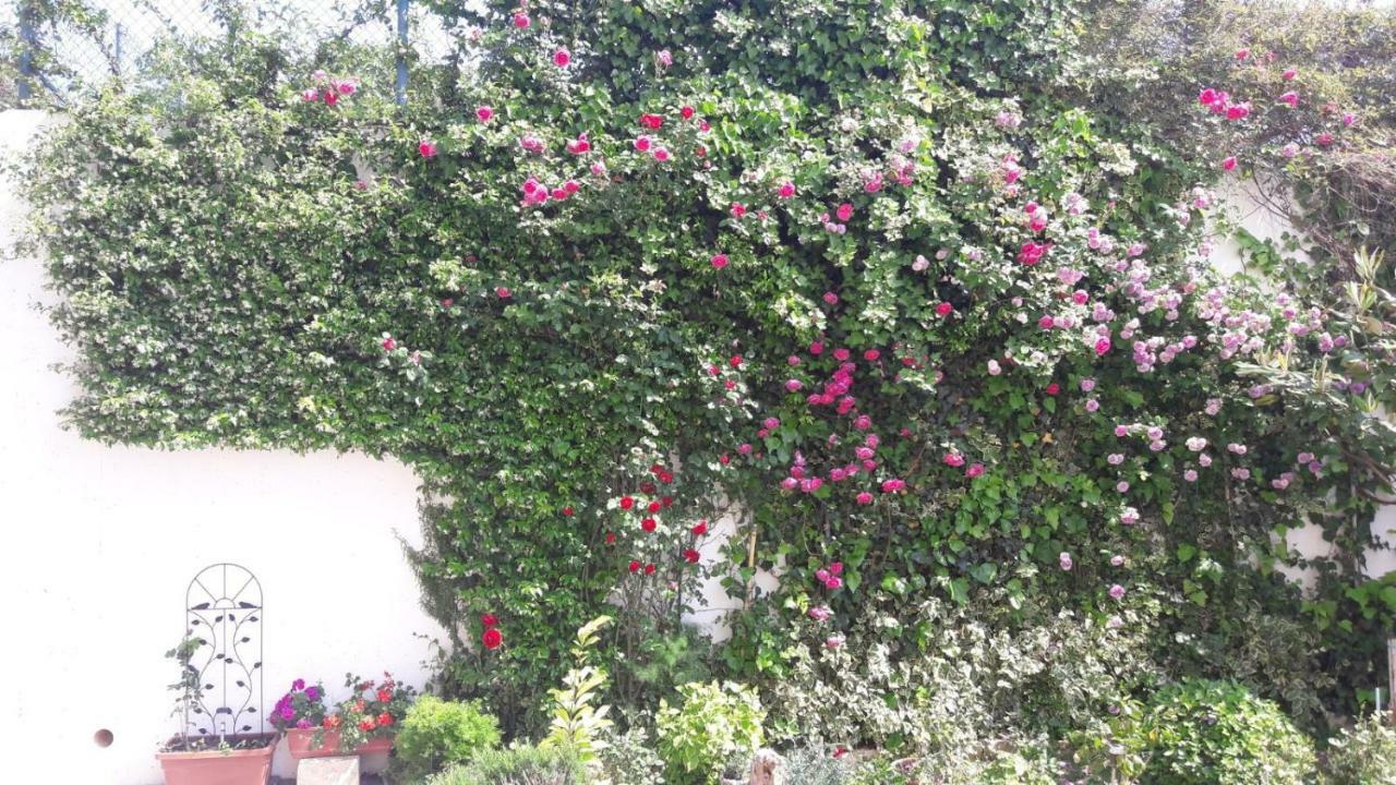 Holiday Home Goga Drniš Εξωτερικό φωτογραφία