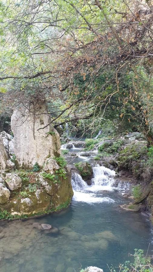 Holiday Home Goga Drniš Εξωτερικό φωτογραφία